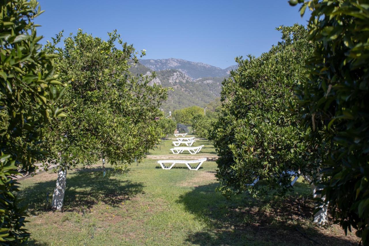 Ugur Pansiyon Bungalows Чирали Екстериор снимка